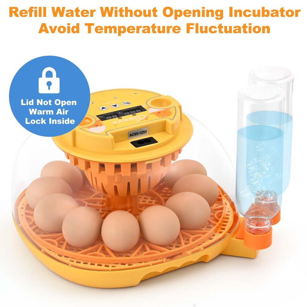 Egg Incubator for Hatching Chicks, Automatic Egg Turner Holds 12 Eggs, Smart ...