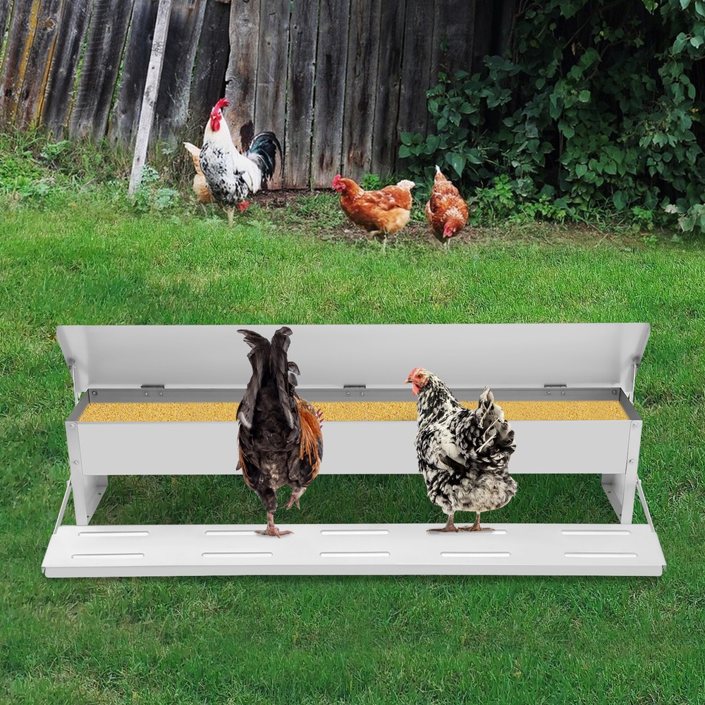 Automatic Chicken Feeder Galvanized Sheet Poultry Feed Protector 22lbs Capacity