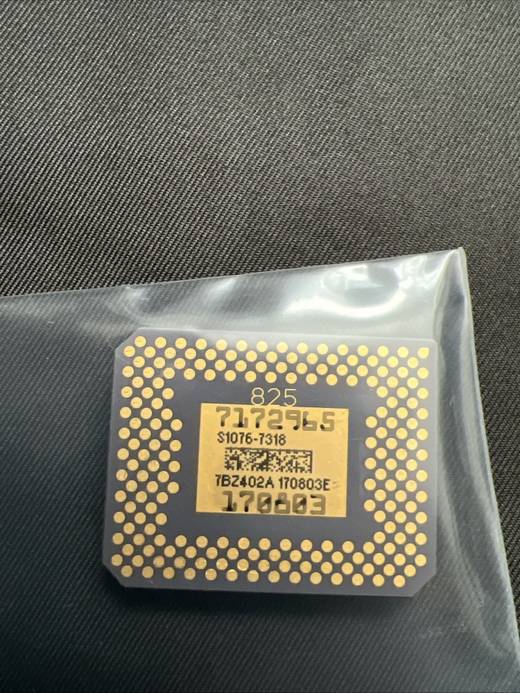 S1076-7318 DMD CHIP
