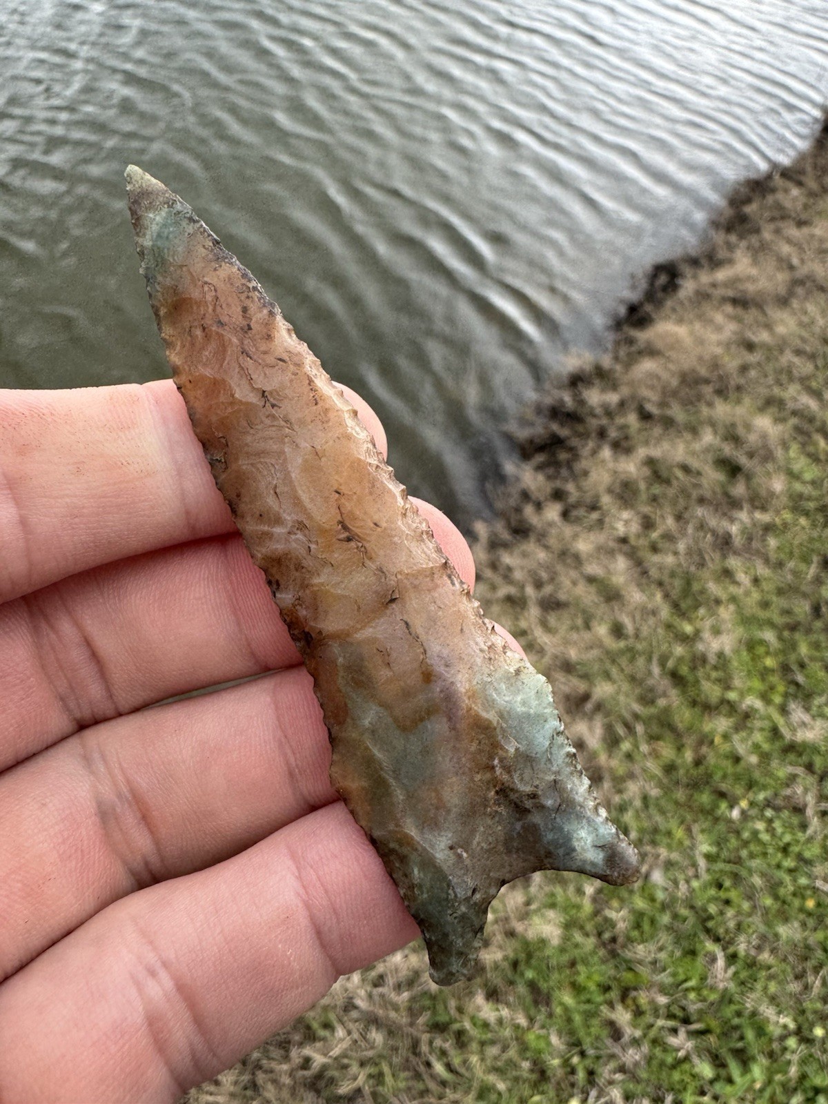 Rare Colorful KILLER Native American Oklahoma Paleo Dalton Fluted Arrowhead Poin