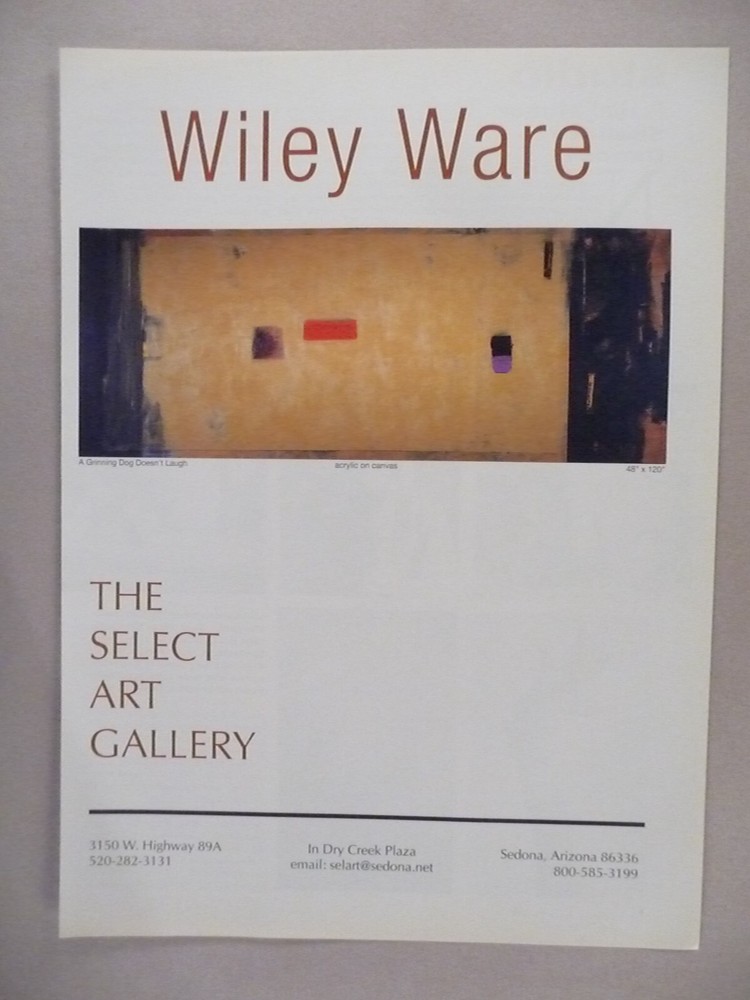 Wiley Ware MAGAZINE AD - 1997