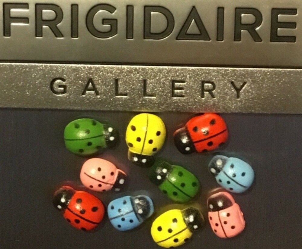 3D Ladybug Fridge Magnet Lot Handcraft 👻🧲 (10) Pc Mini Style