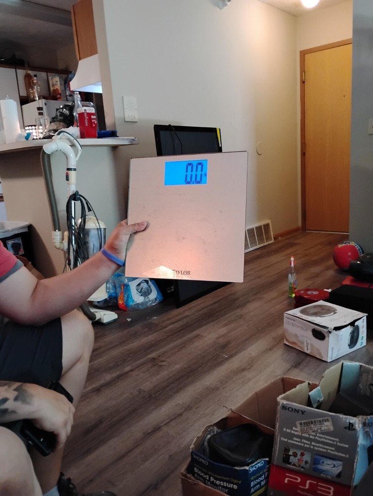 taylor digital scale