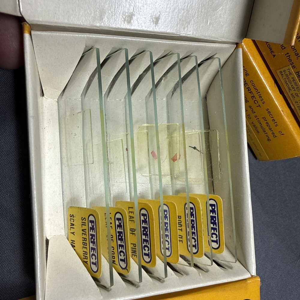 Antique microscope slides - 24 Perfect Prepared Microscope Slides Insects Etc
