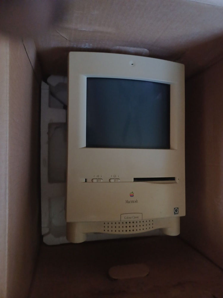Apple Macintosh Color Classic - video issues