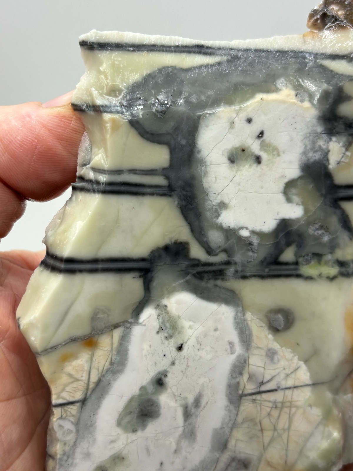 Picasso Marble (Jasper) end Slab Cabbing Lapidary Utah Combo Ship Avail