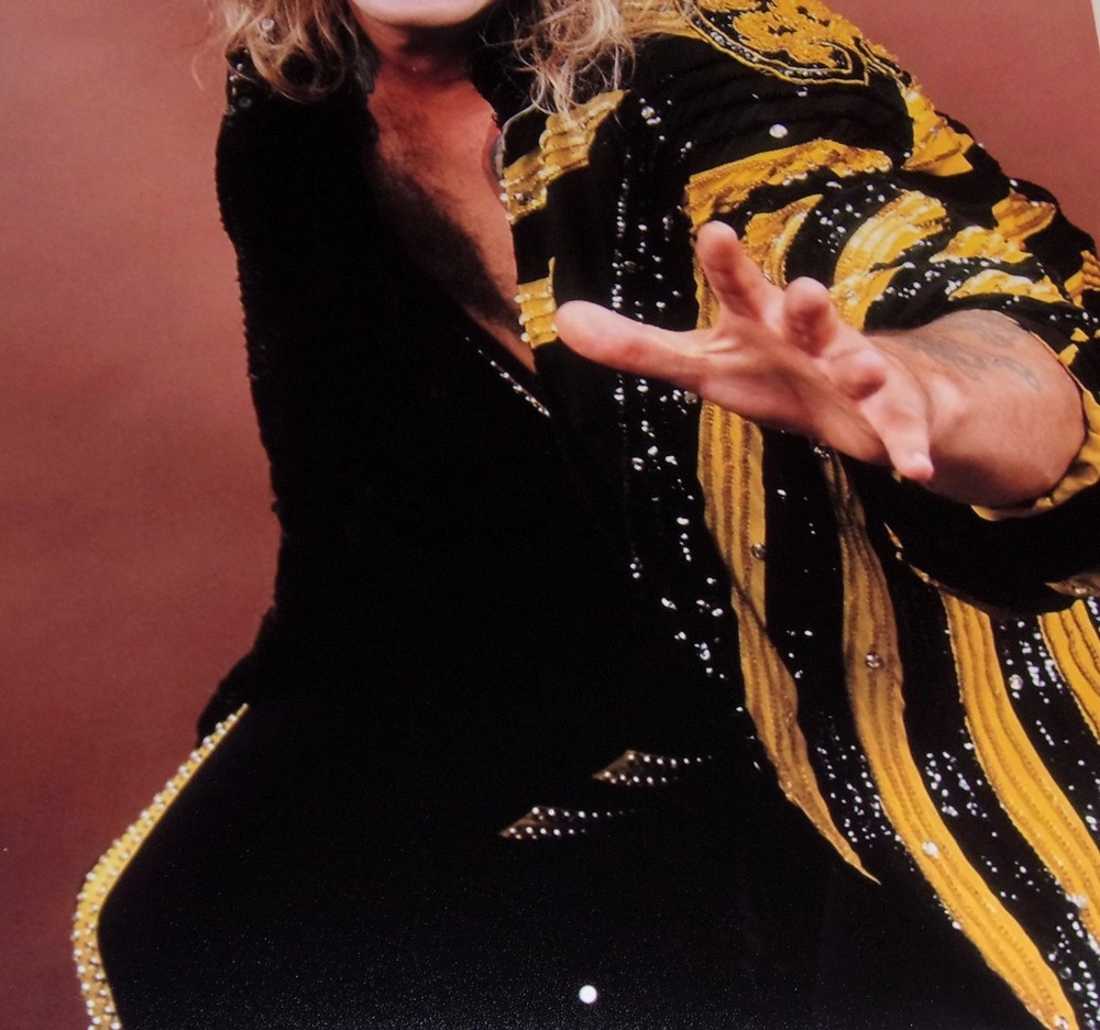 Large Ozzy Osbourne The Ultimate Sin Promo 1986 (Black Sabbath) Poster 19"x13"