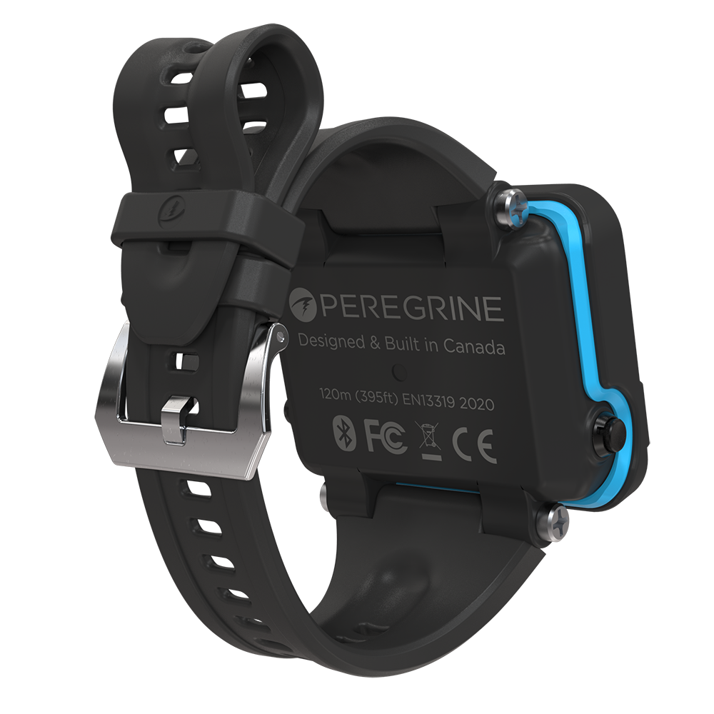 Shearwater - Peregrine