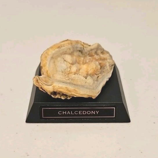 Precious Rock Collection With Display Case- Includes 16