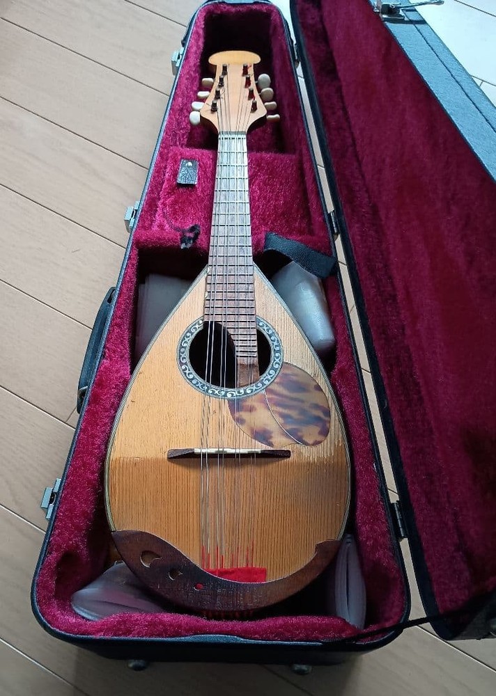 Wooden mandolin 8 strings with hard case