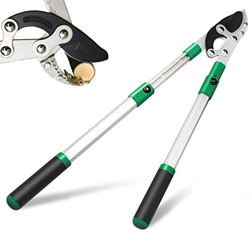 SK5 High-Performance Compound Action Anvil Lopper,Chops Thick Branches with