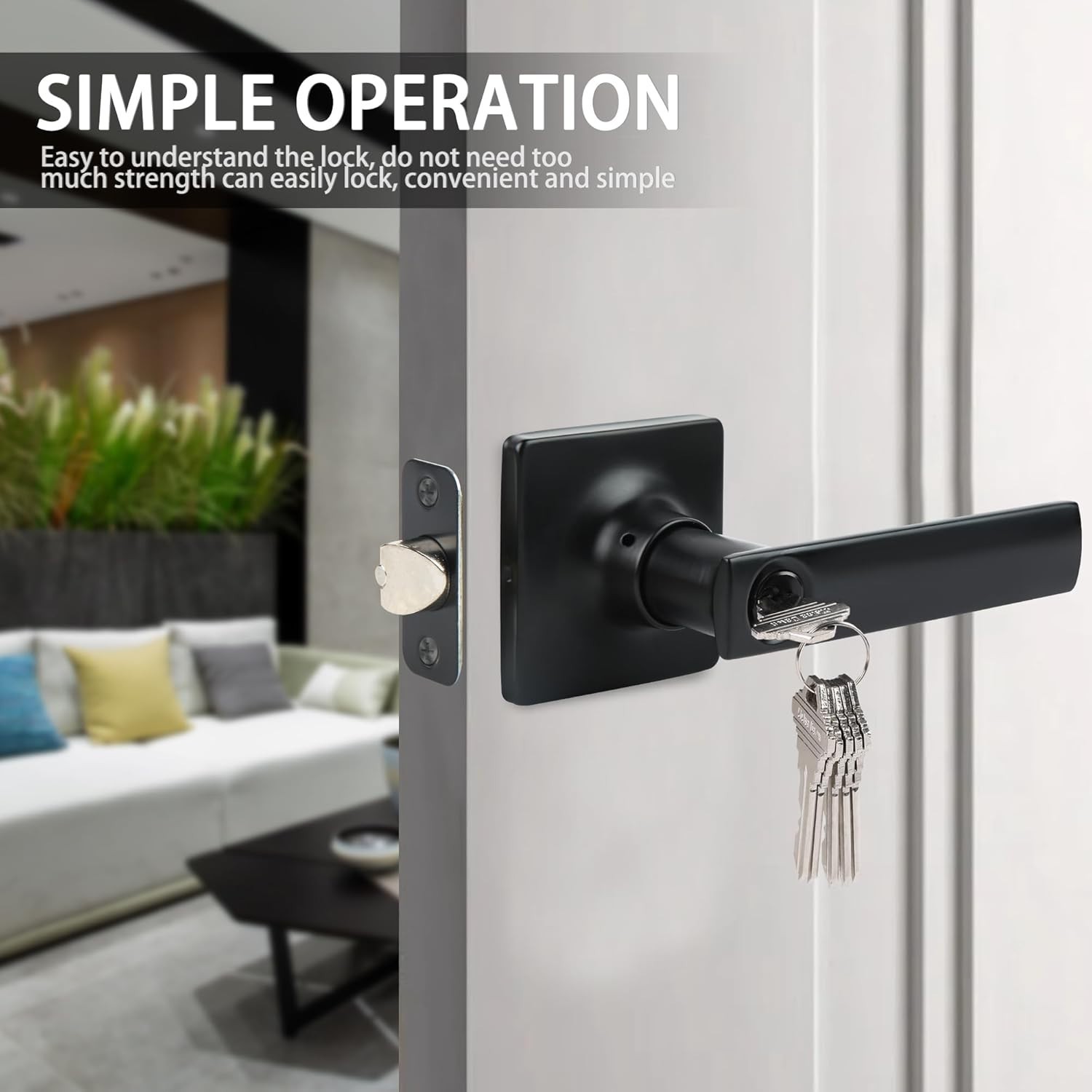 Entrance Door Handle Entry Lever Reversible for Right & Left Side,Black,2Pcak