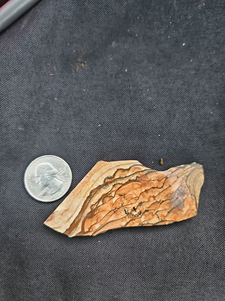 Biggs Jasper Slab (122 grams)