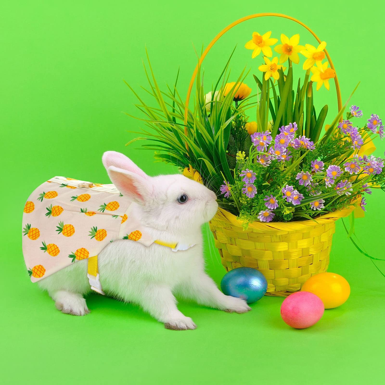 3 Sets Rabbit Bunny Harness and Leash, Cute Easter Bunny Clothes for Rabbits ...