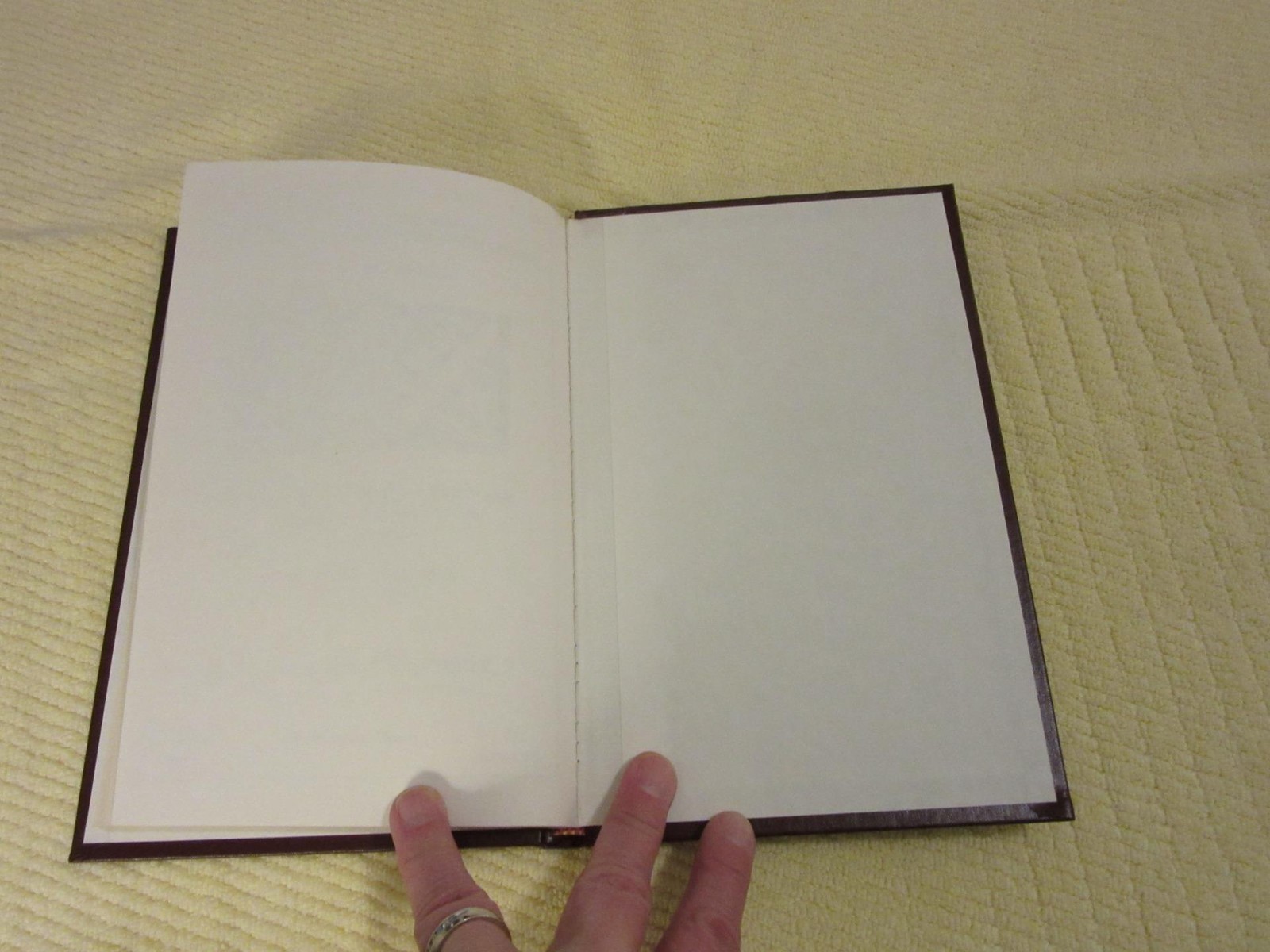 Errors Inverts Imperforates Colors Omitted 1988 by Stephen R. Datz; signed