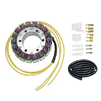 ELECTROSPORT ELECTROSPORT STATOR 3-PHASE ESG080