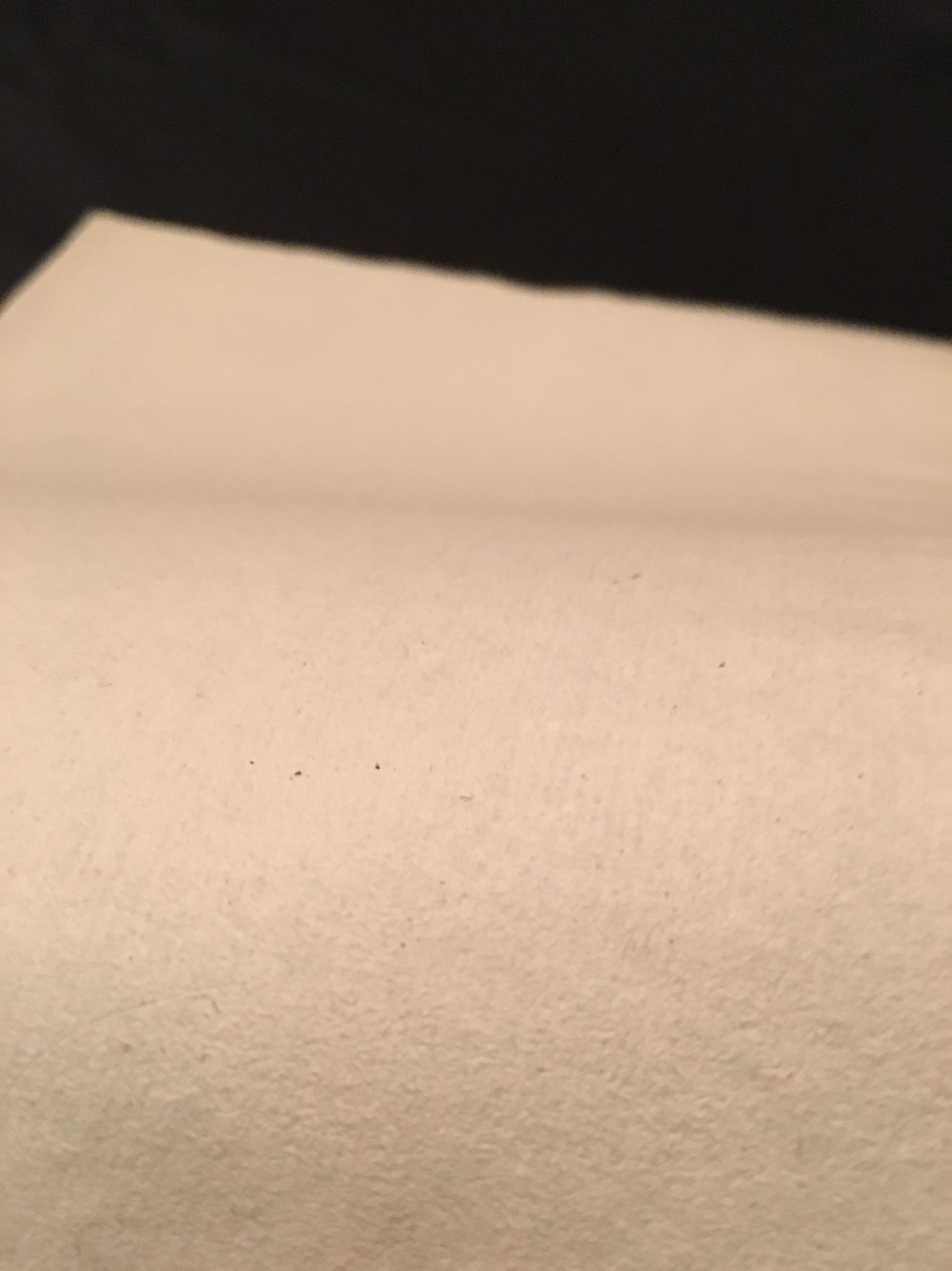 BLANK RESTORATION PAPER 1700s