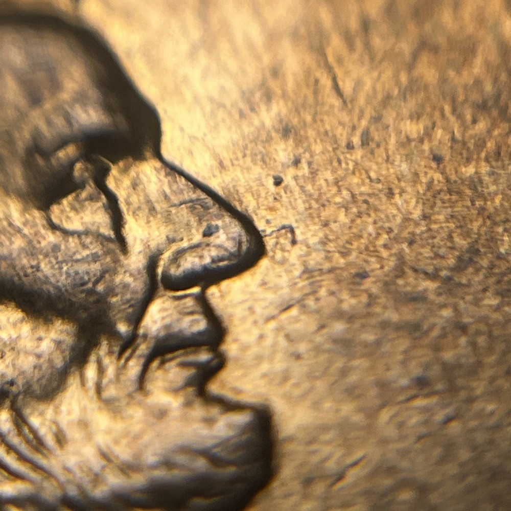 2009 D Lincoln Cent Formative Years MS quality
