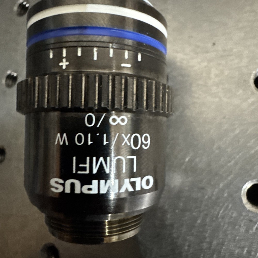 Olympus LUMFL 60x Water Dipping Microscope Objective