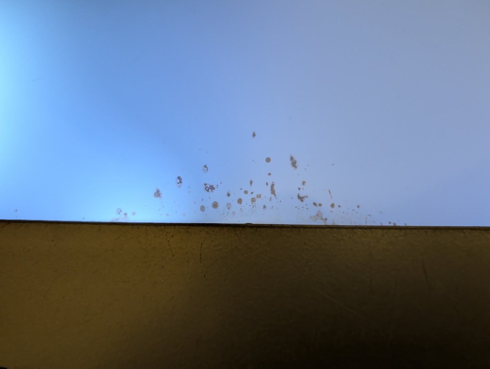 Red Bull Mini Fridge Bar Back Countertop VESTFROST BBC Commercial Rare