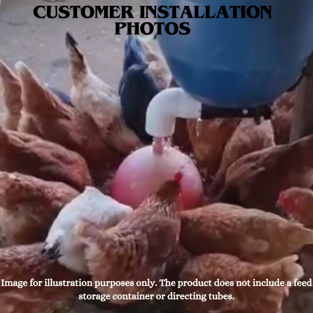 Chicken & Turkey Automatic Feeder – Dispenser System for Multiple Birds