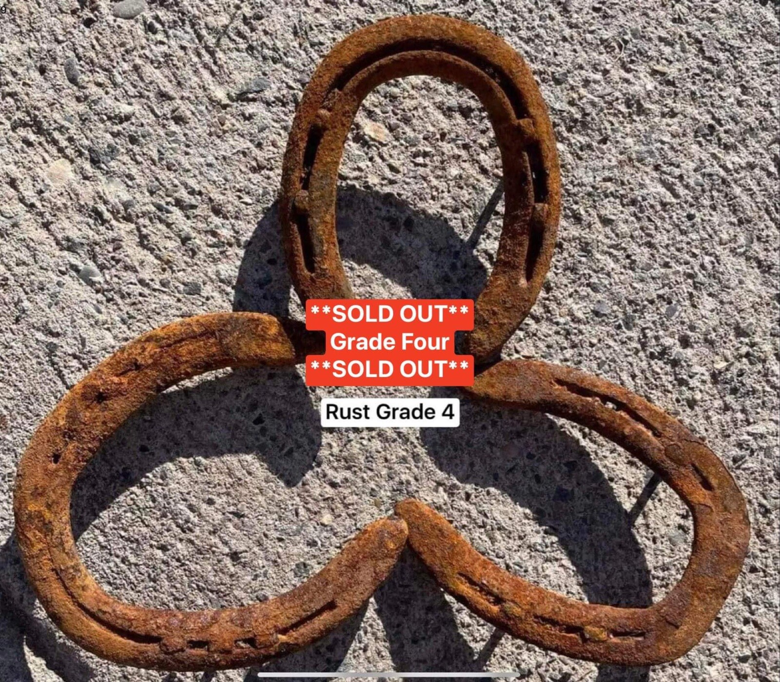 Horse Shoes, Ridden In The Rocky Mountains; Horse Shoe; Horseshoe; Horseshoes