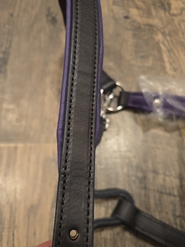Leather Halter And Lead