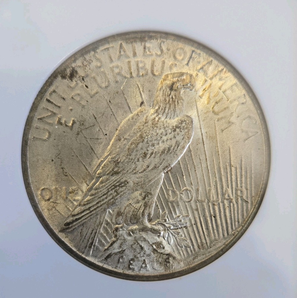1925 Peace Dollar NGC Certified MS64
