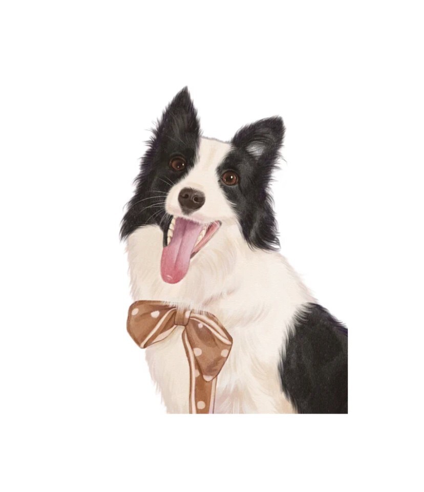 Creating customized pet pictures/logo