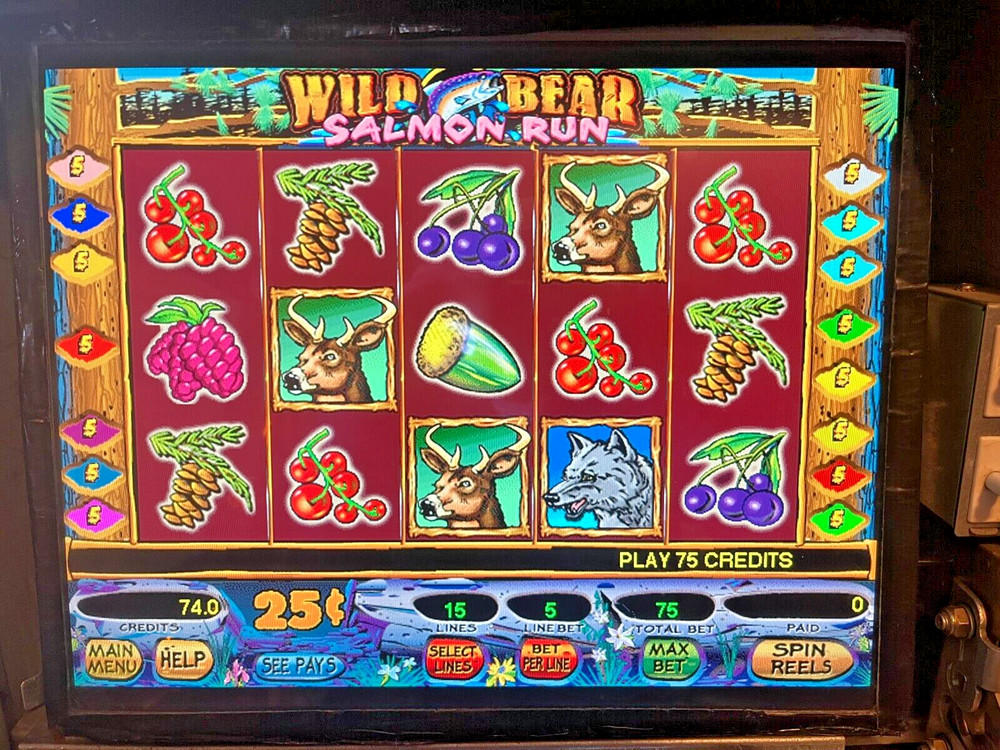 IGT I-game Wild Bear Salmon Run Software