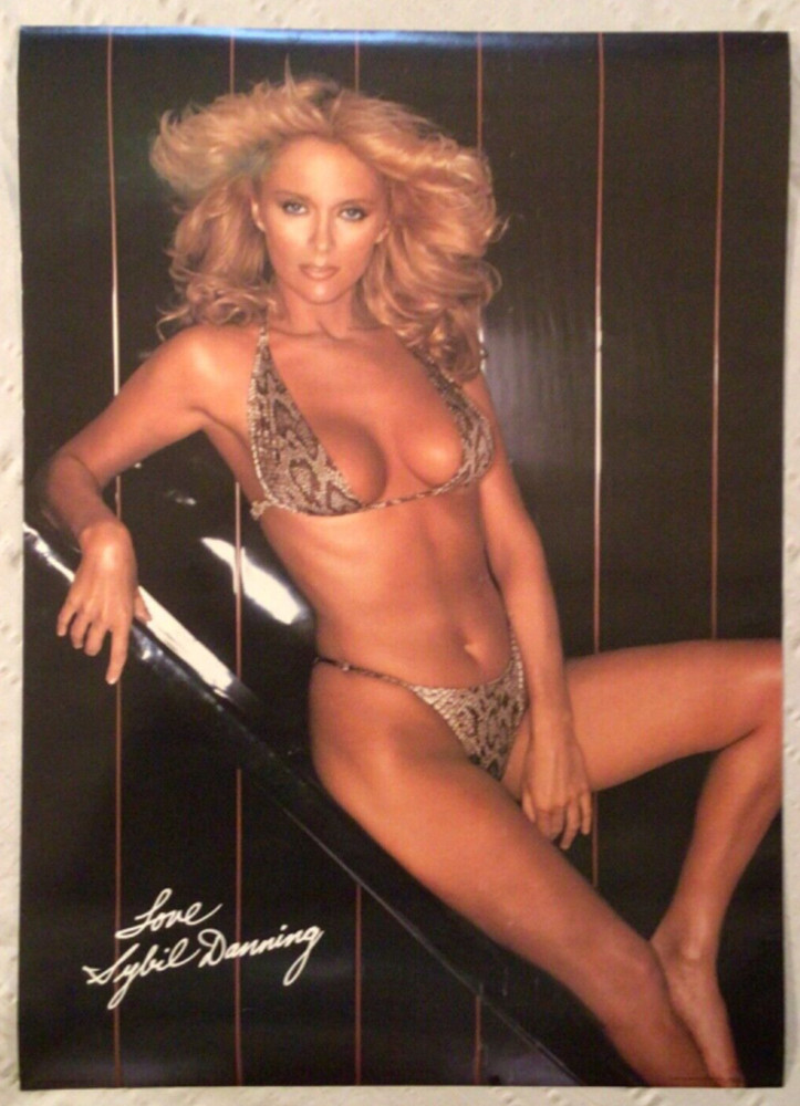 Sybil Danning Poster Sexy Bikini Girl Pinup About 20 x 26