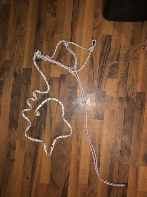 2 KNOTTED TRAINING HALTERS WITH LEAD LINES