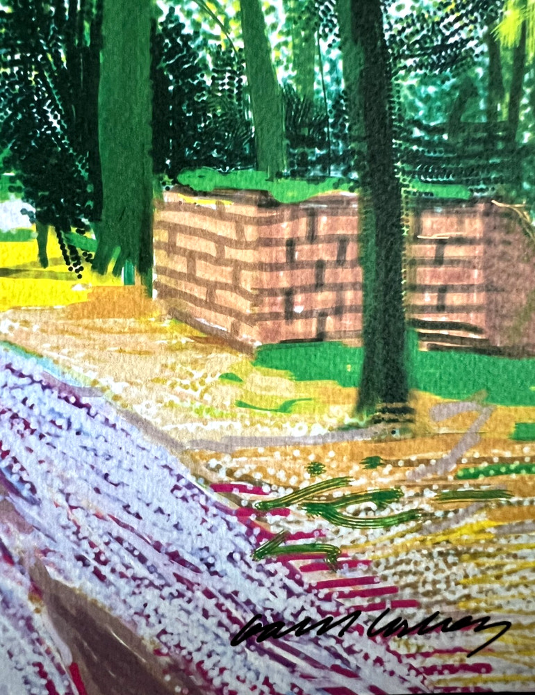 David Hockney Lithograph COA Original Signed Op Numbered Limited &
