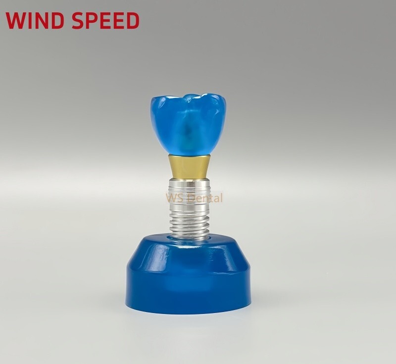 Dental Implant Model Demonstration Teeth Study Teaching Models Detachable M2020