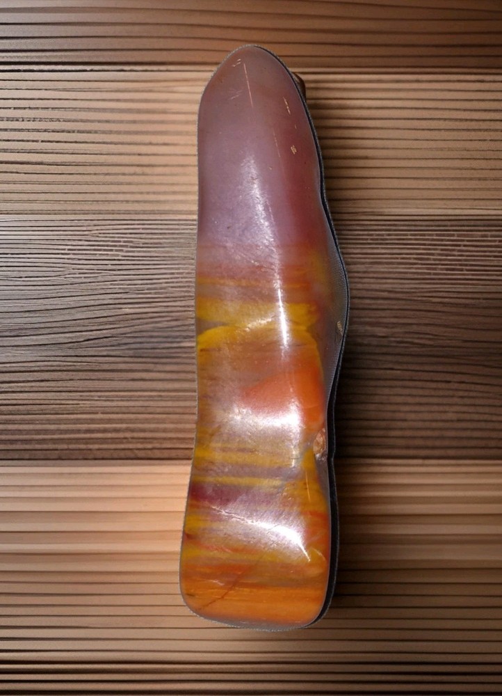 Rainbow Petrified Wood Polished