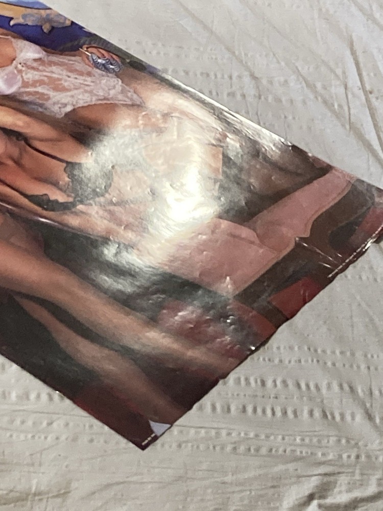 Bordello Poster Sexy Lingerie Girls Pinup About 22 x 34