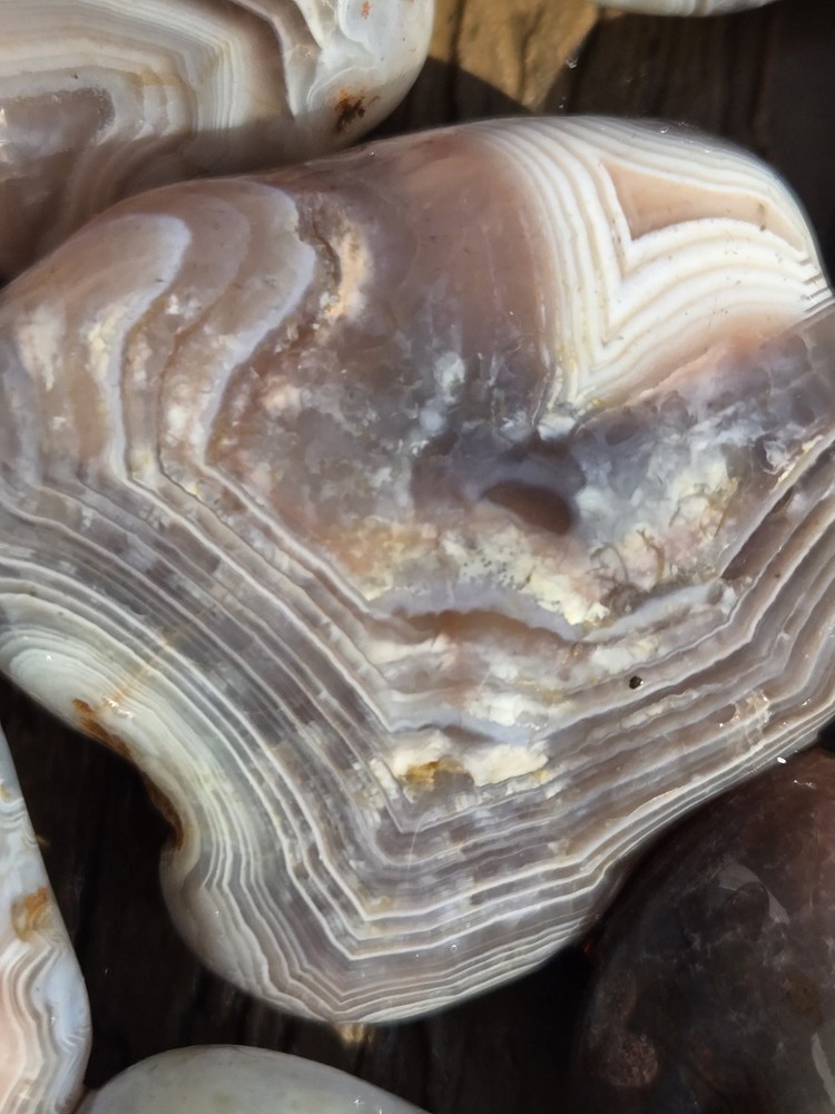 Botswana Agate Selects - WILD ONES - Rough, Natural, Not Polished A+ Grade