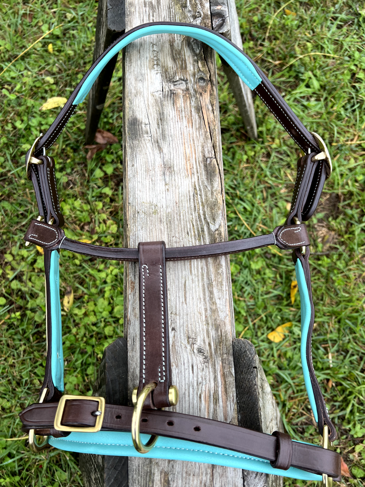 Leaders 1" Leather Halter with Turquoise Padding and Solid Brass Hardware