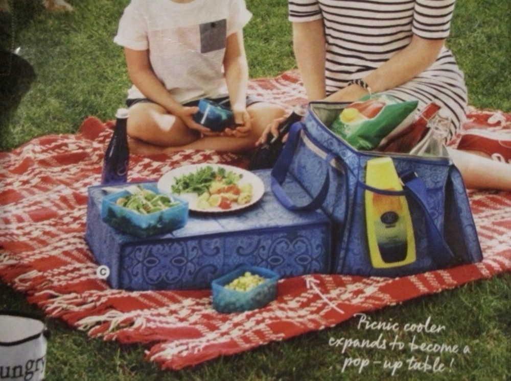 Cooler With Pop-Up Table New Blue Avon 2016