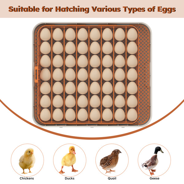 New Incubator Egg Automatic 56 Egg Turning Egg Hatching Temp & Humidity Control