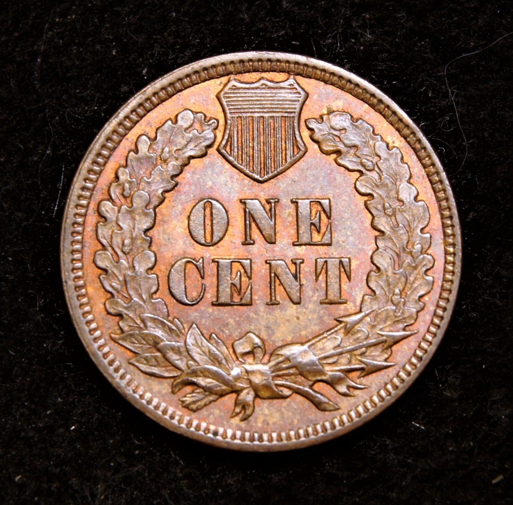 1899 Indian Head Cent MS+++++