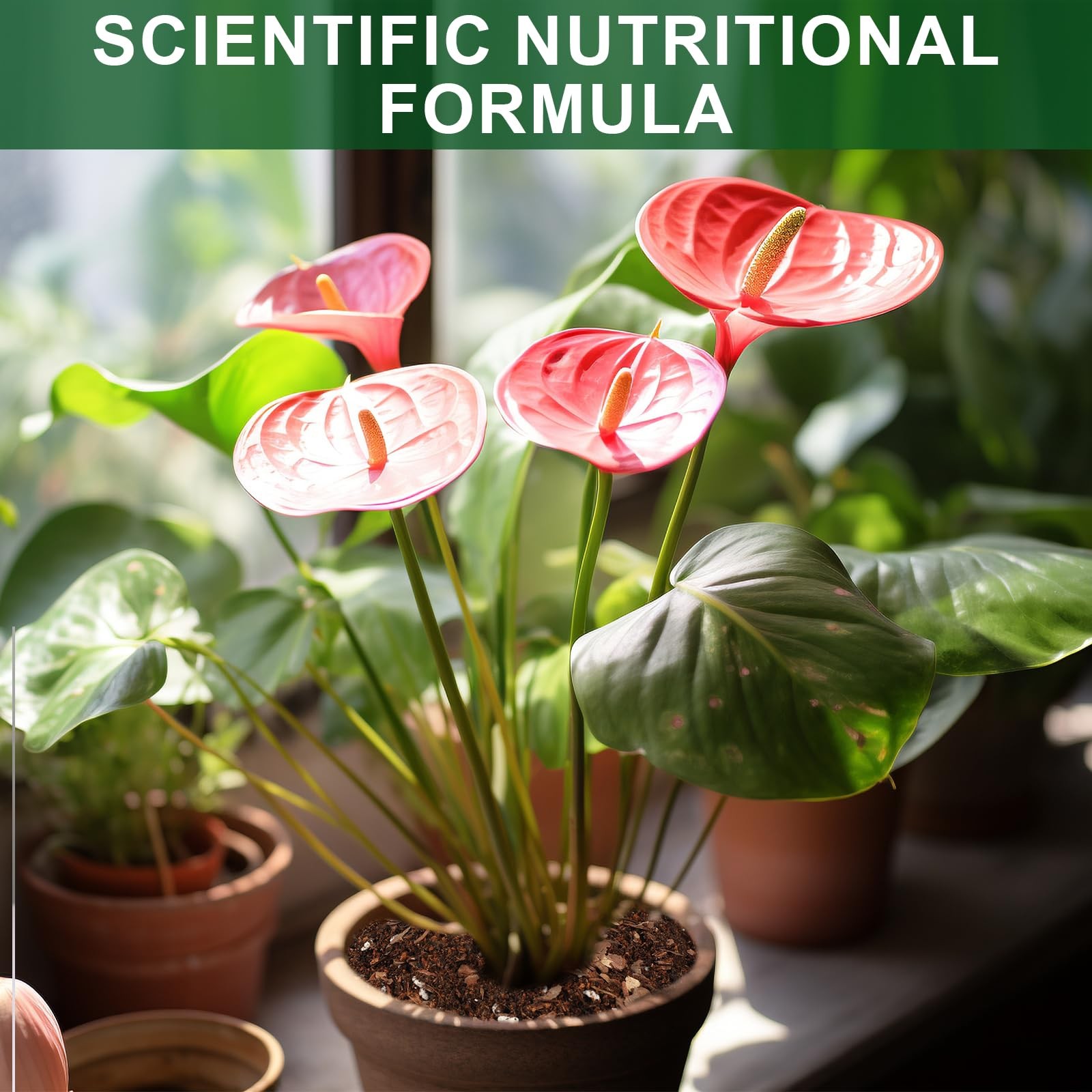 Doter All-Natural Potting Soil for Anthurium & Indoor Plants 10qt - Enhanced Dra