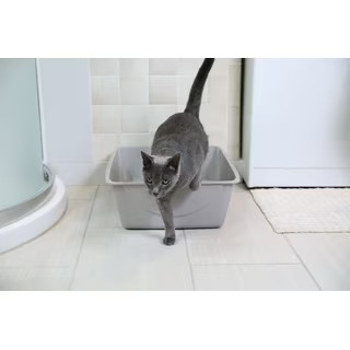 High Sided Open Cat Litter Box