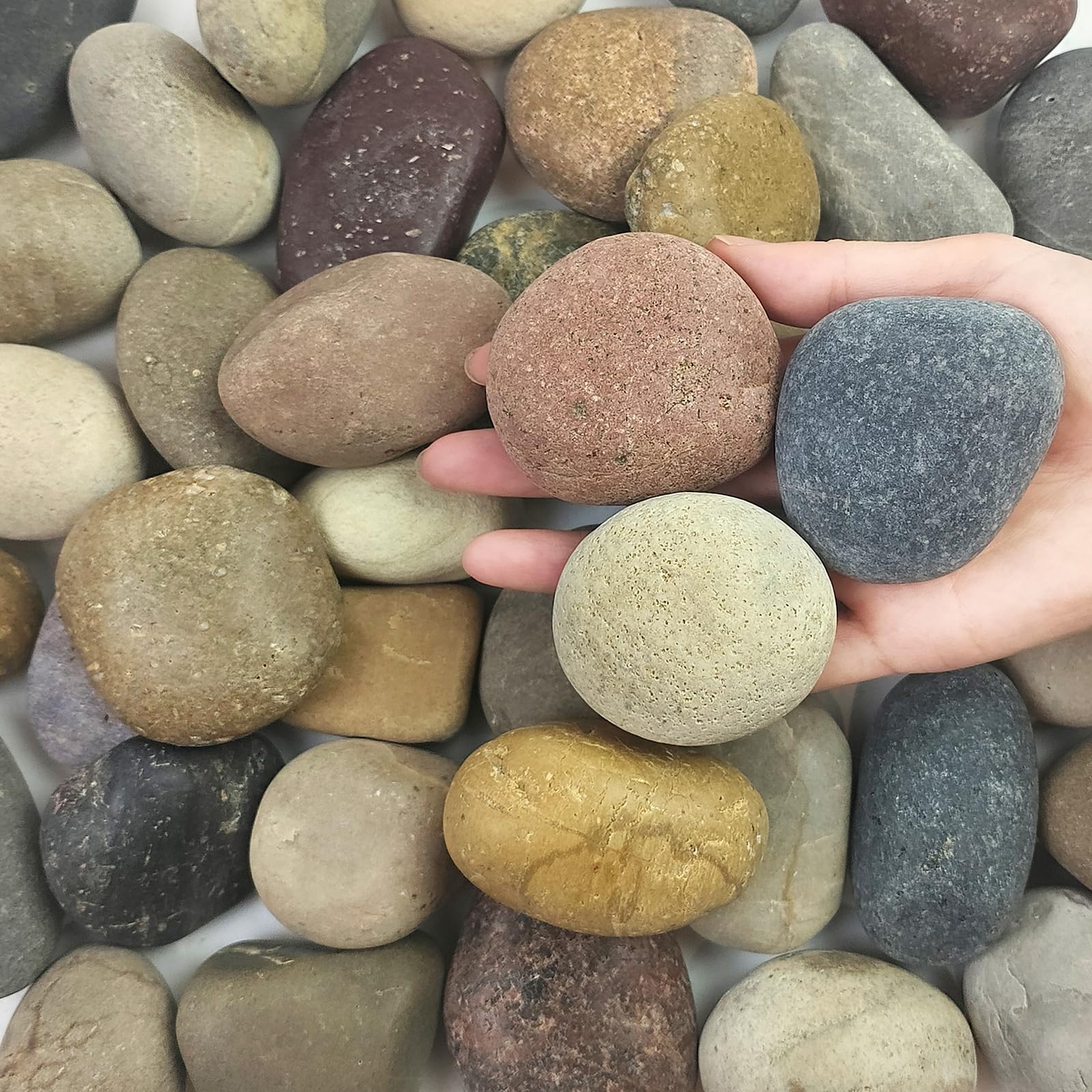 5 lbs Natural Aquarium Rocks, 2-3 Inch Large Pebbles.Decorative River Rocks f...