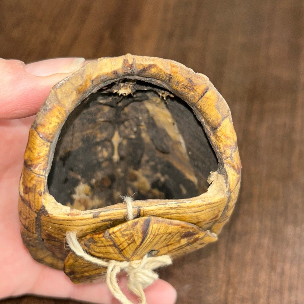 C. 1890 Southeastern Turtle Shell Pierced Rattle