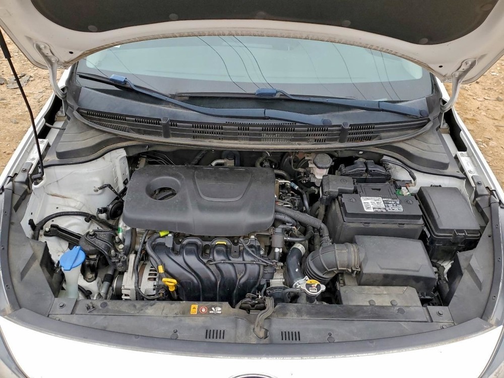 RIO 2019 Glove Box 4962762