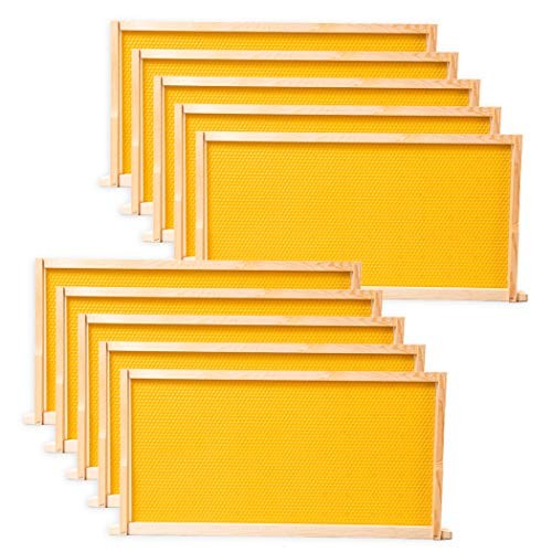 10 Pack Beehive Frames and Wax Foundations for Deep Brood Bee Hives with