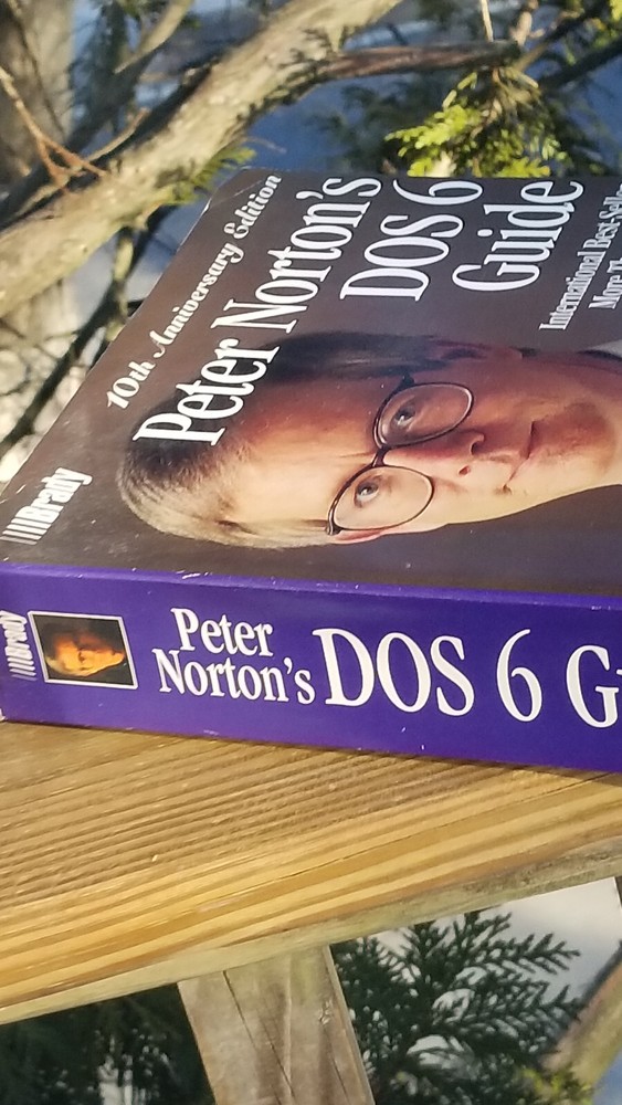 VINTAGE ELECTRONICS BOOK PETER NORTON'S DOS 6 GUIDE