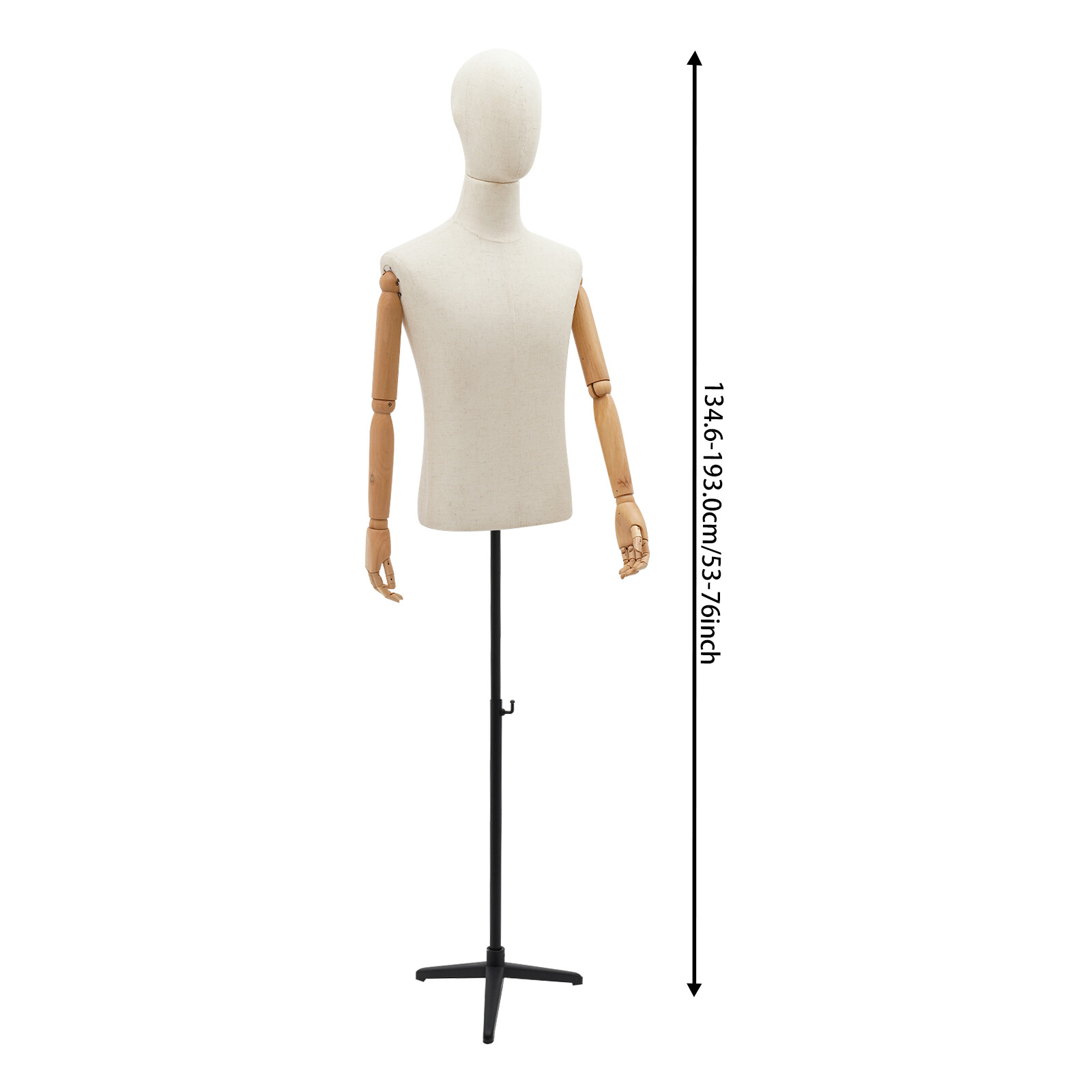 Adult Male Torso Mannequin Dress Form with tripod Base Adjustable Height