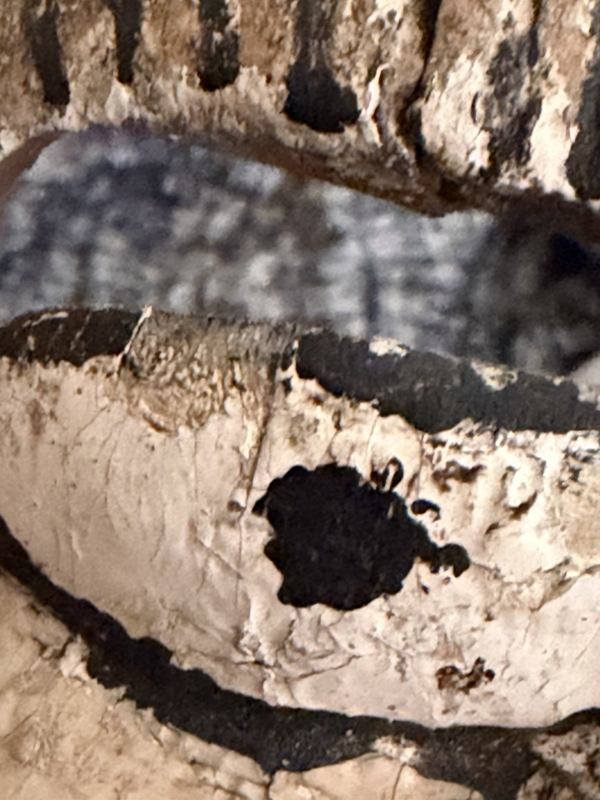 Rare Mid 20th Century Mexican Hand-Carved “Viejo” Folk-Art Mask